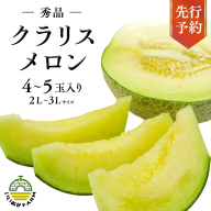 【 令和7年産 】【 先行予約 】クラリスメロン 秀品 1箱 4玉～5玉入り 飯岡 メロン クラリス 青肉 果物 フルーツ 甘い [CG003ya]