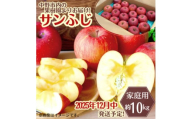 ◆2025年12月中発送◆りんご サンふじ家庭用 約10kg(24～42玉)【1494948】