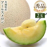 【 先行予約 】茨城県産 アールスメロン 秀品 3L サイズ × 2玉 入り おすすめ JA全農いばらき JA メロン めろん ふるさと納税 フルーツ 予約 マスクメロン くだもの 果物 国産旬 定番 旬 期間限定 青肉 果物 【 2025年8月下旬から発送 】