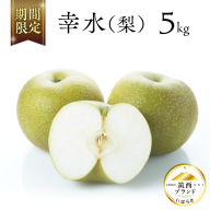 【 JA 北つくば 】 筑西ブランド 認証品 幸水 5kg 2025年産 先行予約 梨 果物 フルーツ なし ナシ 幸水梨 くだもの デザート 茨城 [AE008ci]