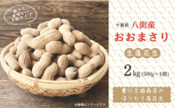 落花生 掘りたて 生落花生 「 おおまさり 」 2kg （500g×4）八街産落花生  落花生おおまさり 落花生千葉県 落花生生 新豆  先行予約 2025年産