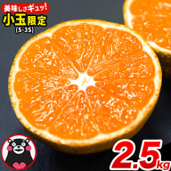 訳あり みかん 小玉みかん くまもと小玉みかん 2.5kg (2.5kg×1箱) 秋 旬 不揃い 傷 ご家庭用 SDGs 小玉 たっぷり 熊本県 産 S-3Sサイズ フルーツ 旬 柑橘 長洲町 温州みかん《2025年10月中旬-12月末頃出荷》