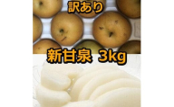 954.【訳あり】新甘泉 3kg　【梨・なし】≪梨 なし ナシ 果物 フルーツ くだもの 鳥取県北栄町≫※8月下旬頃～9月中旬頃に順次発送
