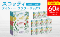 【定期便2回】【6ヶ月に1回お届け】【スコッティ】ティシュー フラワーボックス 250組 5箱パック×12セット 合計60箱 ティッシュ 日用品 生活必需品 消耗品 紙 まとめ買い ストック 備蓄