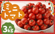 ミニトマト (3kg) トマト