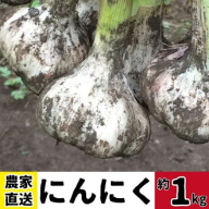 ＜先行予約受付中！＞農家直送 鹿児島県産 にんにく(計1kg)