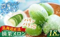 【7月下旬以降順次発送】 摘果メロン 1.8kg《喜茂別町》【久保田農園】 メロン 子メロン ベビーメロン 漬物 野菜 旬 果物 先行予約 フルーツ [AJAM012]