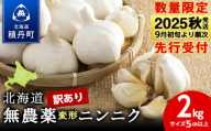 【数量限定】訳あり無農薬変形ニンニク2kg（500g×4袋）玉 変形 無農薬 にんにくガーリック