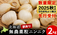 【数量限定】訳あり無農薬粒ニンニク2kg（500g×4袋）バラ 粒 無農薬 にんにくガーリック
