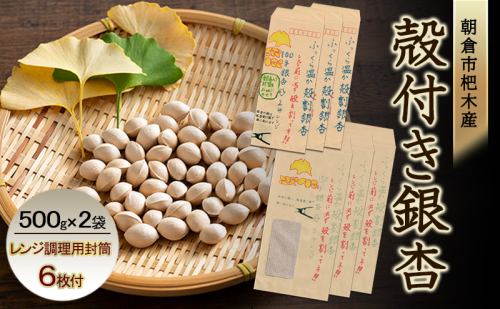 ぎんなん 朝倉市 杷木産 銀杏 殻付き 500g×2袋 レンジ調理用封筒付(100g用×3枚、150g用×3枚) 2119398 - 福岡県朝倉市