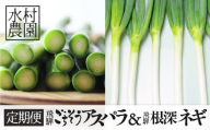 アスパラ＆ネギ4回定期便 水村農園 飛騨産 旬の野菜