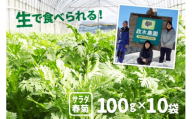 令和7年産先行予約【6月上旬～10月下旬発送】サラダ春菊 100g × 10袋 政木農園 無農薬栽培 野菜 syun88