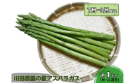 アスパラガス 先行予約 夏アスパラガス 約1kg+100g M～2L 混合 川田農園 アスパラ グリーンアスパラ 野菜 夏野菜 旬 旬の野菜 産地直送 2025年 2025 予約 青森 冷蔵 冷蔵配送 7月～9月発送