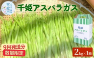 【9月発送分】千姫アスパラガス 丁寧にすべてを手作業で丹精を込めて作りあげた 自信のアスパラガス ※2025年9月上旬～9月下旬頃に順次発送予定 ※沖縄・離島への配送不可