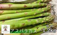 《先行予約》令和7年産 CHACRA DE MELLIZASのアスパラガス M~2L 1.2kg 野菜  期間限定 サイズ不揃い あすぱら アスパラガス グリーン アスパラ 訳あり ワケアリ 訳アリ 飛騨市［Q2361x_25］15000円
