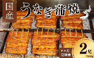 【毎月定期便6回】鰻 国産 鰻蒲焼 約120g×2パック たれ 山椒付