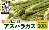 新鮮朝獲れ！！鹿島市産 アスパラガス 合計500g 【美味しい野菜で彩を】アスパラ 野菜 やさい 九州 国産 佐賀