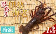 伊勢海老 1kg(1～4匹) 冷凍 - 訳あり 国産 エビ えび 海鮮 魚介 産地直送 プリプリ 味噌汁 刺身 焼き物 汁物 えび蔵 高知県 香南市 冷凍 10000円以上 1万円以上 eb-0006