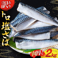 訳あり 塩サバ フィレ 2kg [足利本店 宮城県 気仙沼市 20565508] 魚介類 魚 海鮮 大容量 サバ さば 鯖 サバフィレ サバフィーレ 鯖フィレ 切り身 冷凍 訳アリ 訳あり わけあり トロサバ 減塩 とろさば