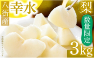 ＼期間限定／ 幸水 3kg 小川梨園 申込受付中 ！ なし ナシ  8月発送 和梨  千葉県 千葉なし 梨幸水 幸水梨 先行予約