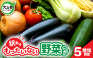 【 訳あり 】 野菜セット (5種類程度) 4000円 ｜ フードロス 余剰野菜 使い切りサイズ 少量セット 一人暮らし 食べ切り 食べ切り野菜 地元農家応援 不揃い 規格外 5000円 5000円以下 SDGs ｜ 送料無料 福島県 大玉村 01105
