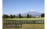 L19ギャツビイゴルフクラブプレー利用券　5枚