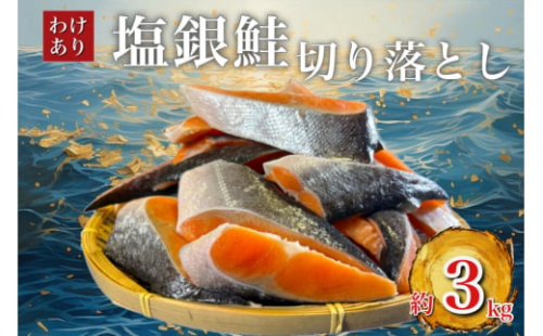 ＜訳あり＞人気の海鮮お礼品 チリ産 定塩 塩銀鮭切り落とし(端材)約3kg_ 鮭 さけ サケ シャケ 銀鮭 切り落とし 端材 訳あり 規格外 不揃い 切身 魚 お弁当 おかず 冷凍 人気 海鮮 サーモン おすすめ チリ産 魚介類 【1389616】